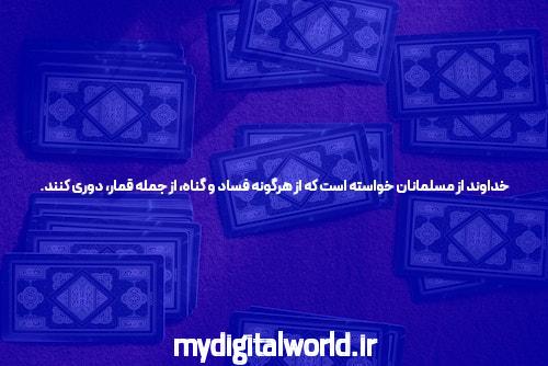 سایت شرط بندی معتبر تینیبت